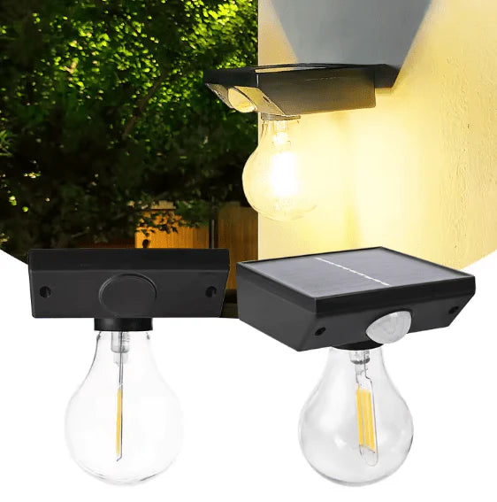 Solar Induced LED Light Bulb