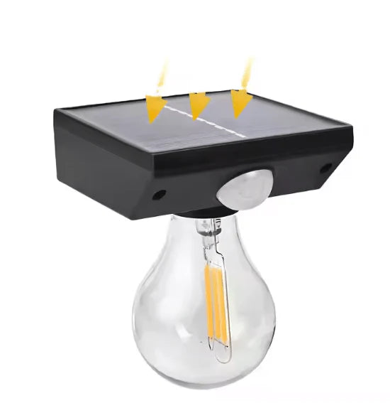 Solar Induced LED Light Bulb